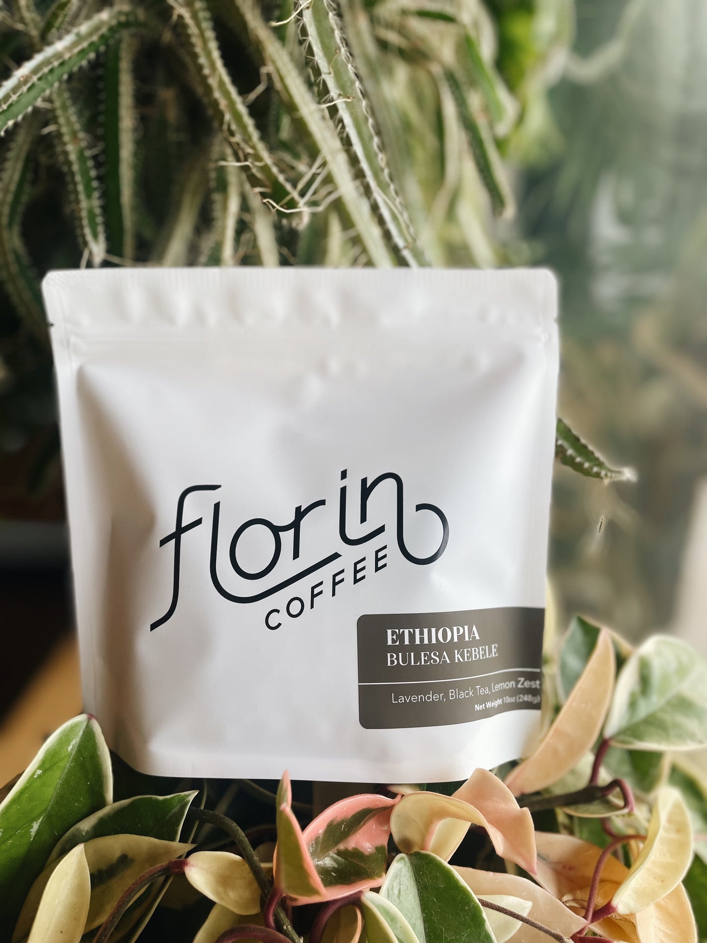 Ethiopia Bulesa Kebele