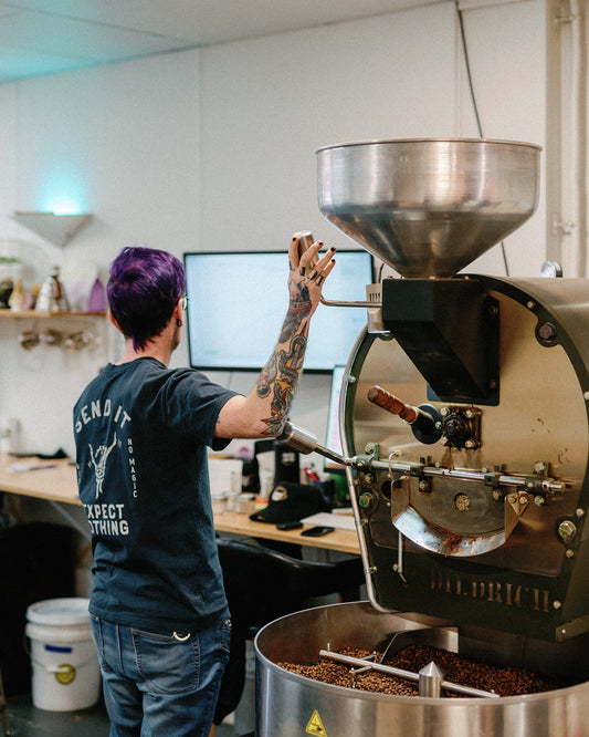The Basics of Coffee Roasting