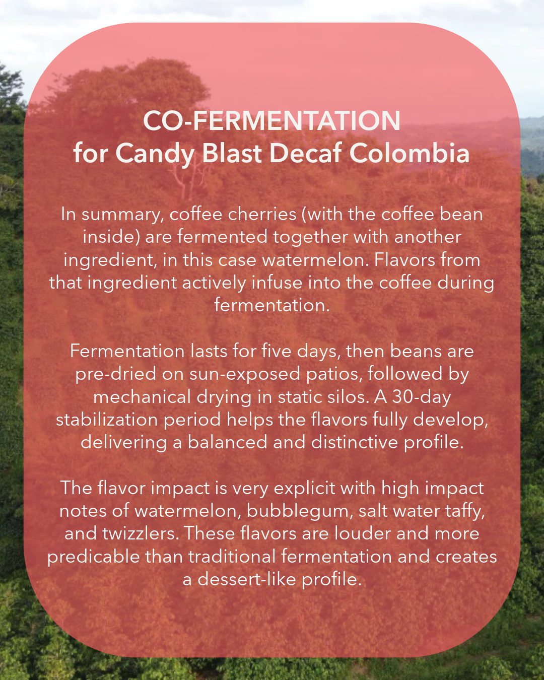 Candy Blast Decaf Colombia – Florin Coffee Candy Blast Decaf Colombia – Florin Coffee