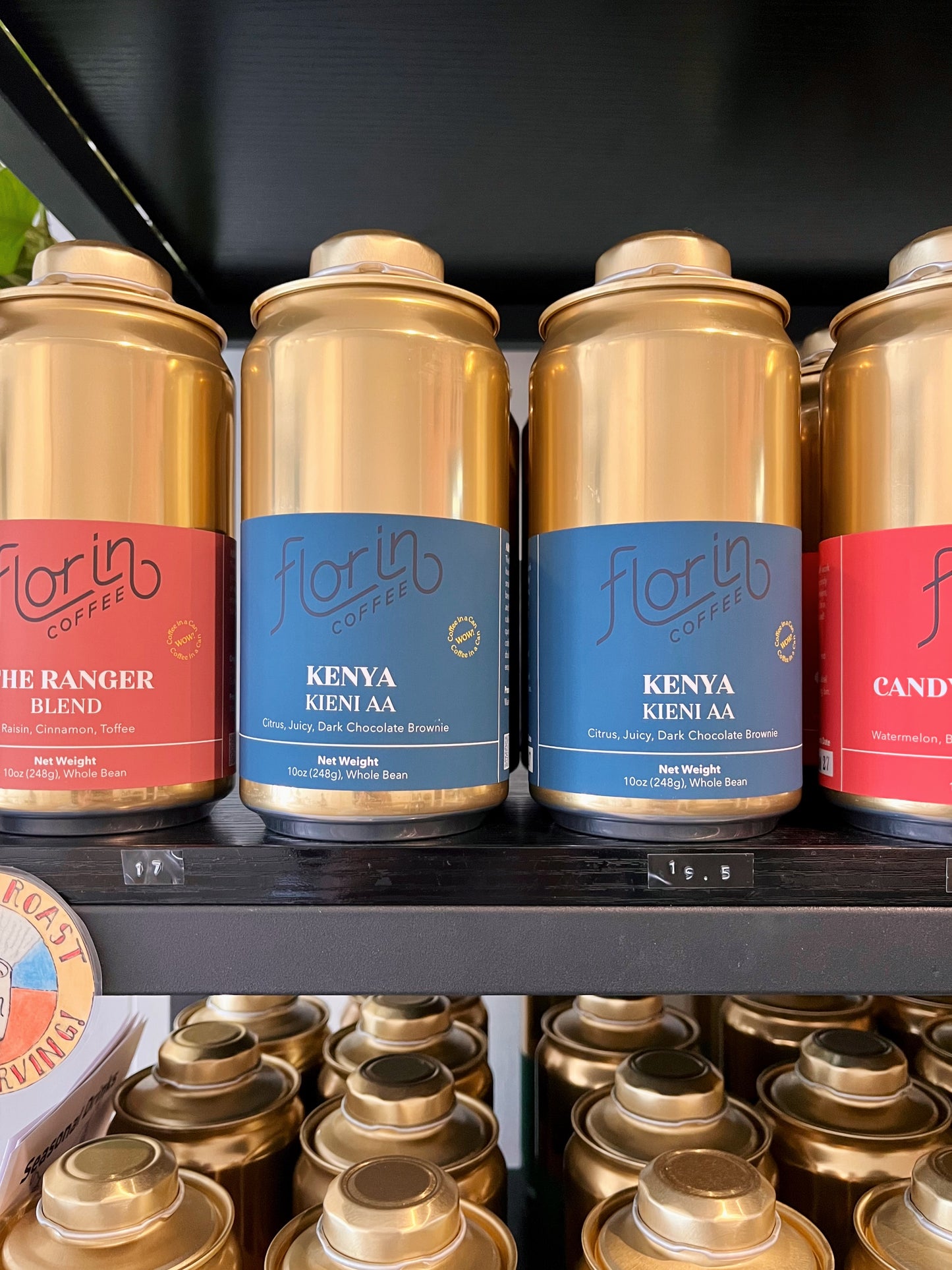 Kenya Kieni AA for COhatch