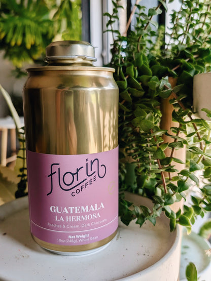 Guatemala La Hermosa