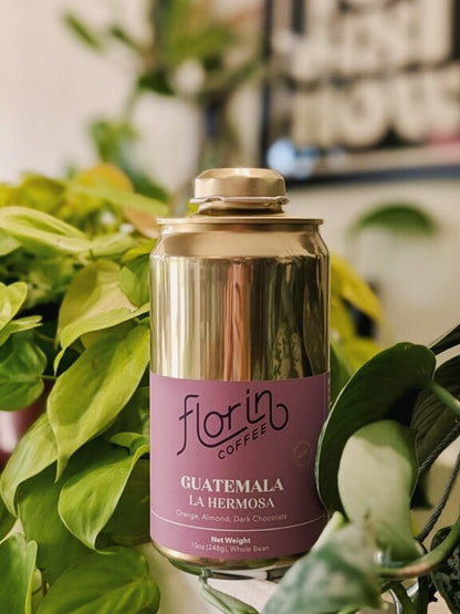 Guatemala La Hermosa for COhatch