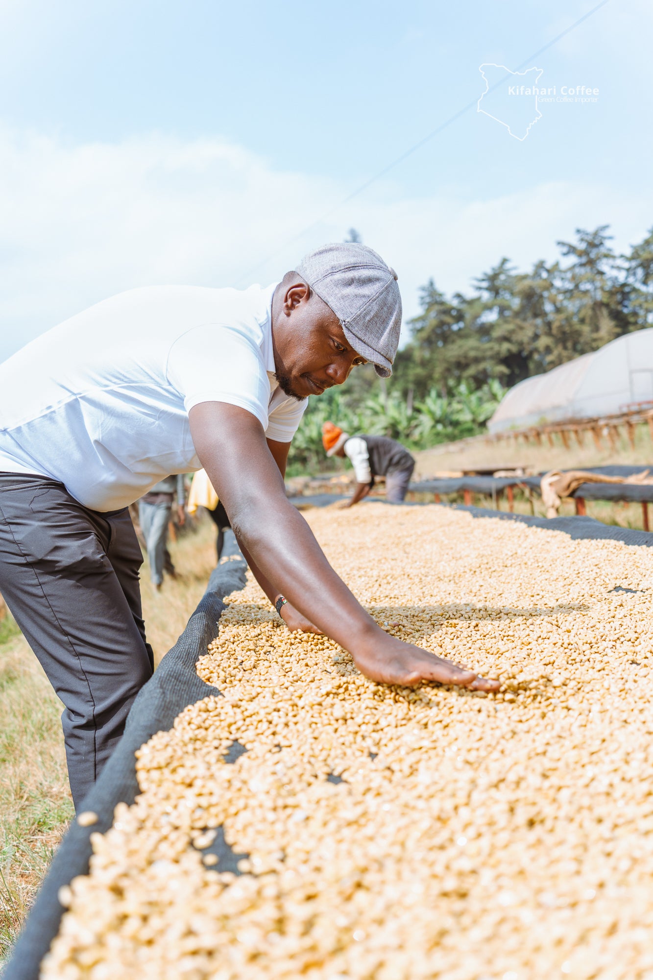 Kenya Kieni AA – Florin Coffee