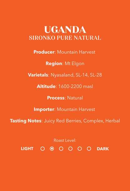 Natural Process Mini Can Set